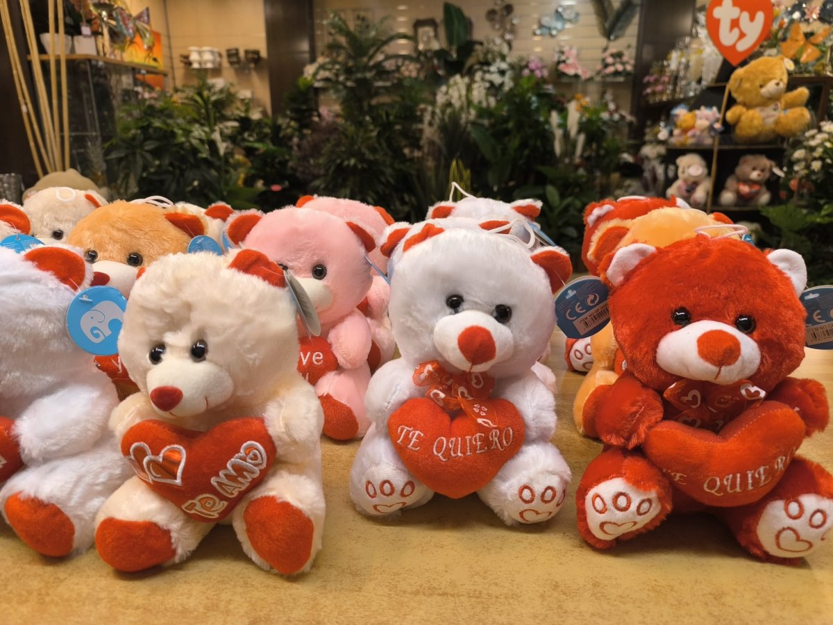 Osos de peluche pequeños - Imagen 2